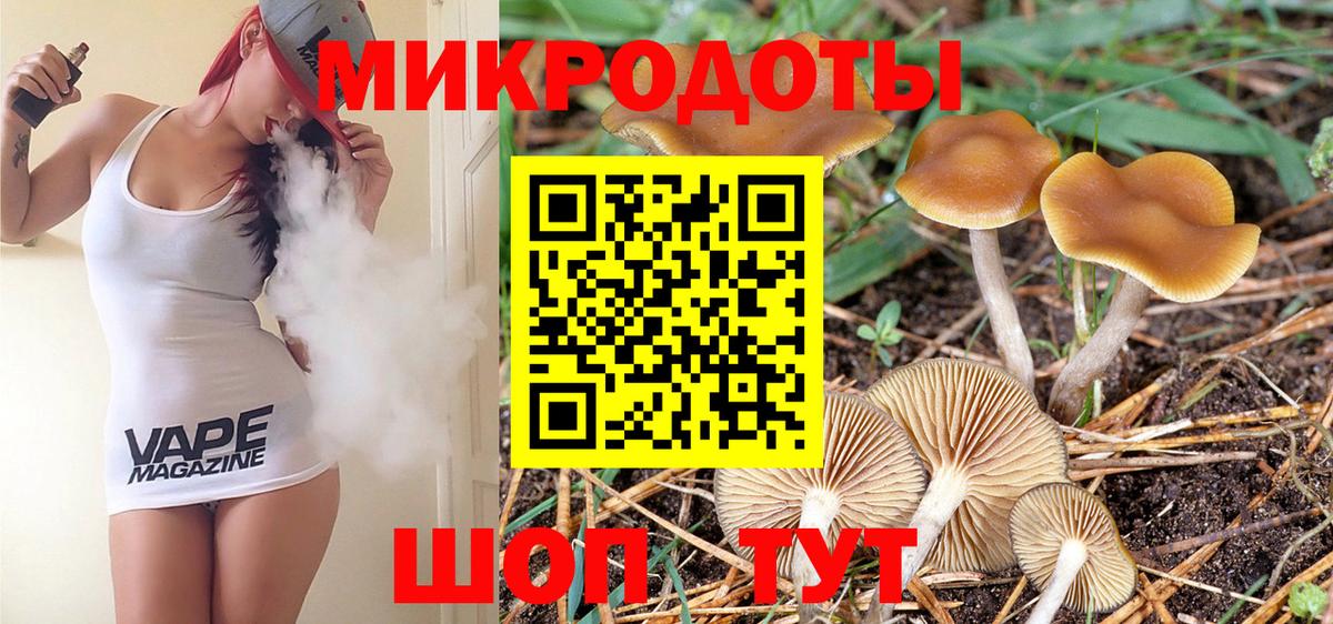 Магадан  Галлюциногенные грибы прущие грибы  Вход с VPN 
